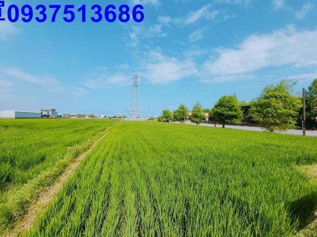 宜蘭宜蘭市農地-9