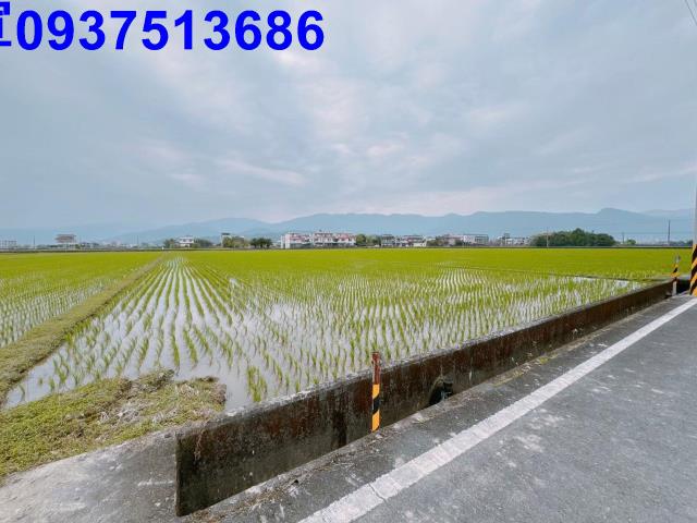 宜蘭礁溪農地-2