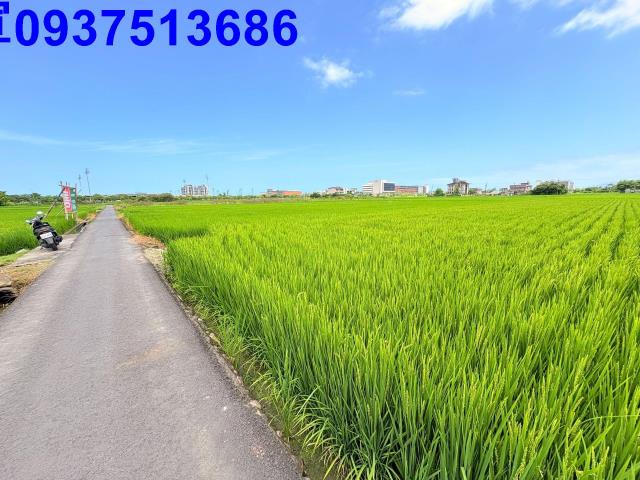 宜蘭宜蘭市農地-1