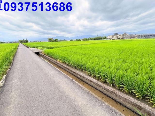 宜蘭宜蘭市農地-4