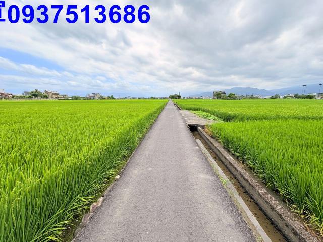 宜蘭宜蘭市農地-6