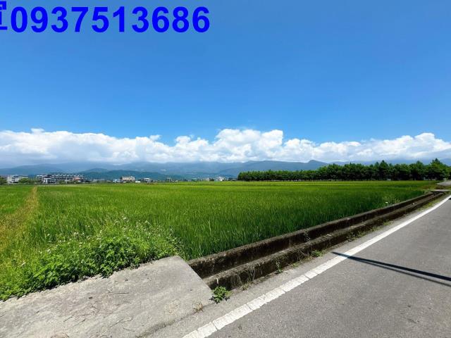 宜蘭礁溪農地-15