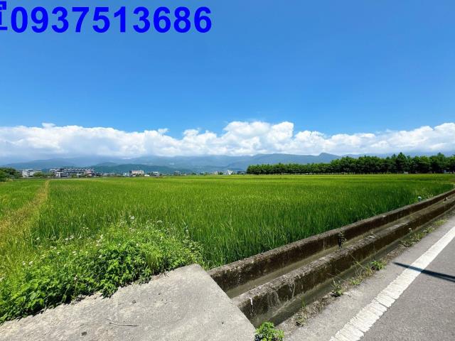 宜蘭礁溪農地-2