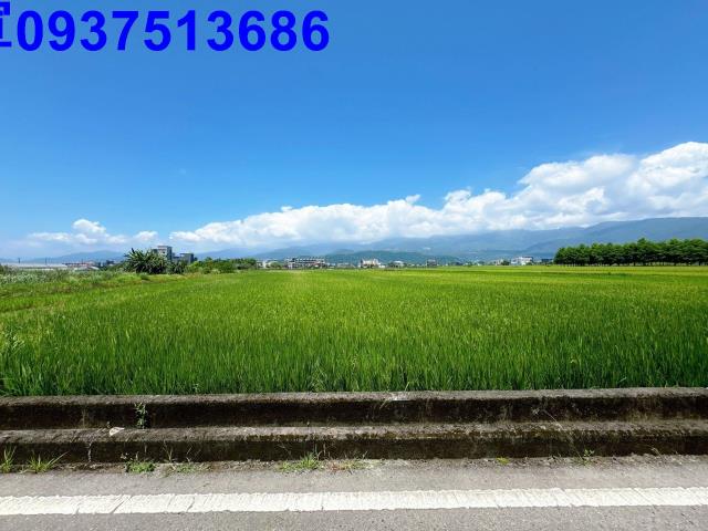 宜蘭礁溪農地-3