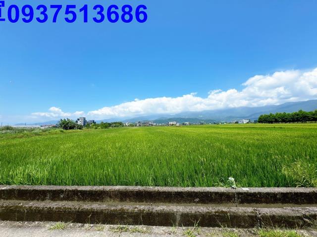 宜蘭礁溪農地-7