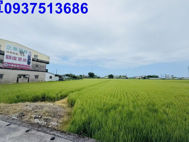 宜蘭宜蘭市農地-6