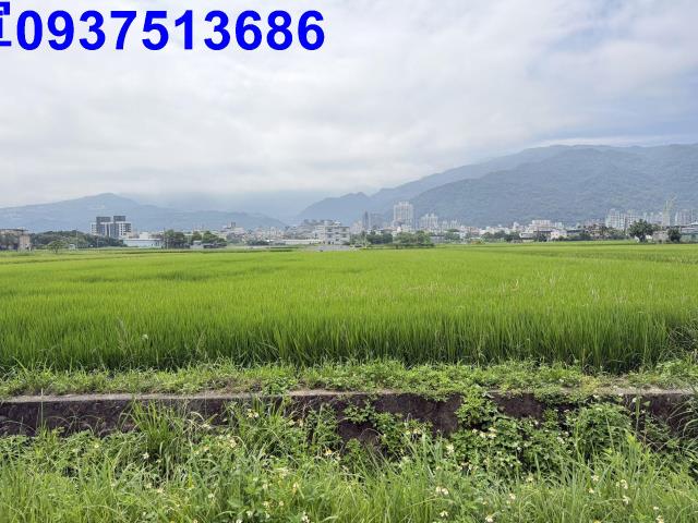 宜蘭礁溪農地-11