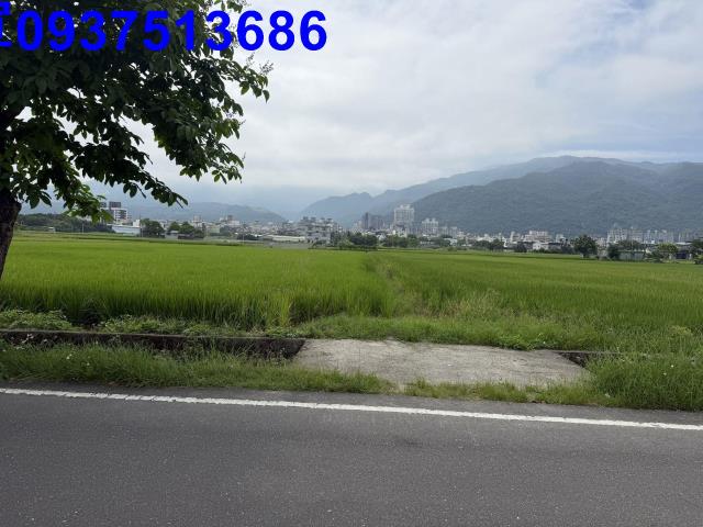 宜蘭礁溪農地-2
