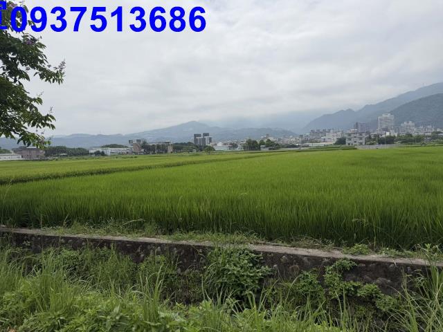 宜蘭礁溪農地-3