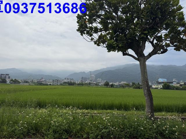 宜蘭礁溪農地-4