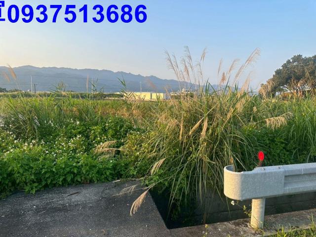 宜蘭礁溪農地-8