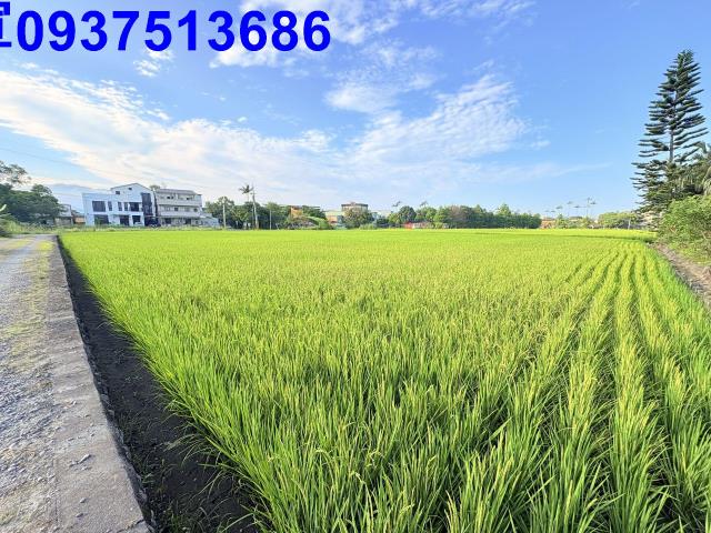 宜蘭市農地-3