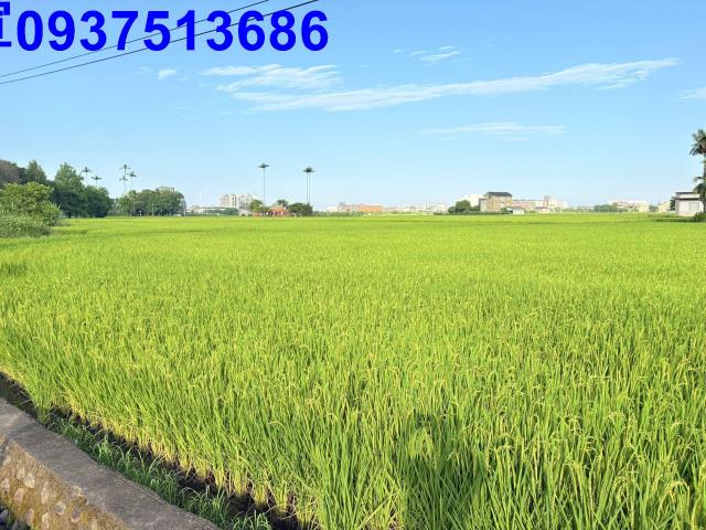 宜蘭市農地-6