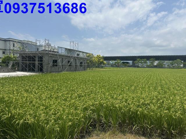礁溪農地-15