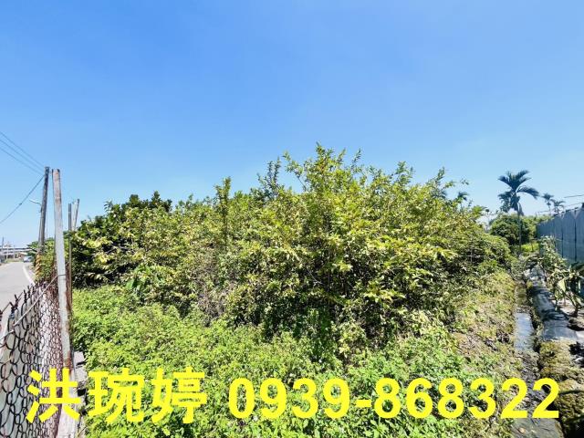 埔心農地-3