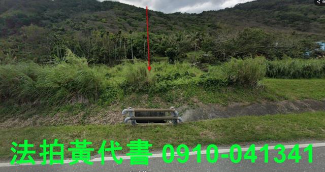 豐濱農地拍賣-1