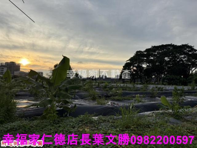 台南農地-11