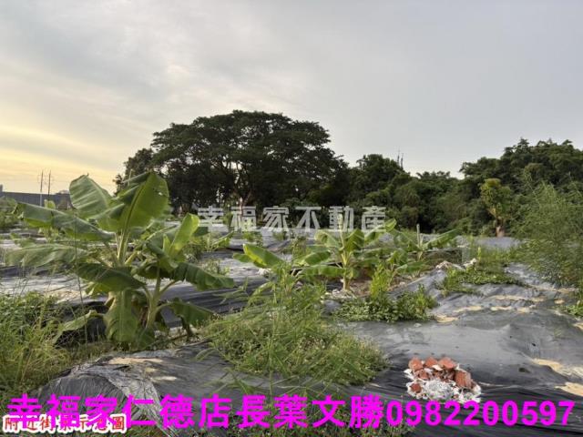 台南農地-1