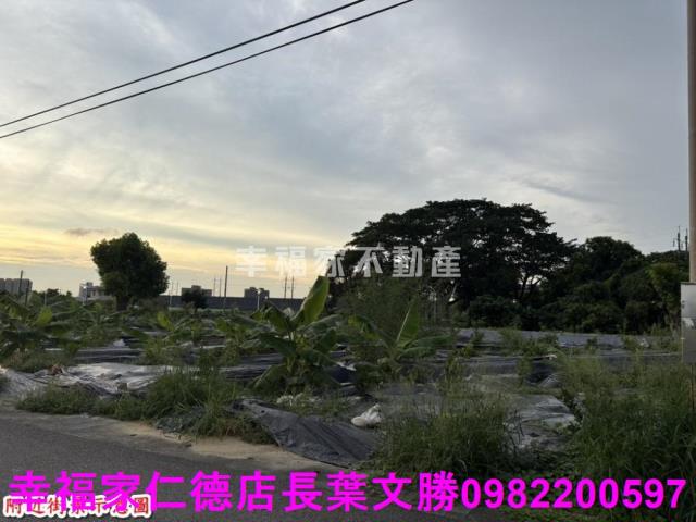 台南農地-2