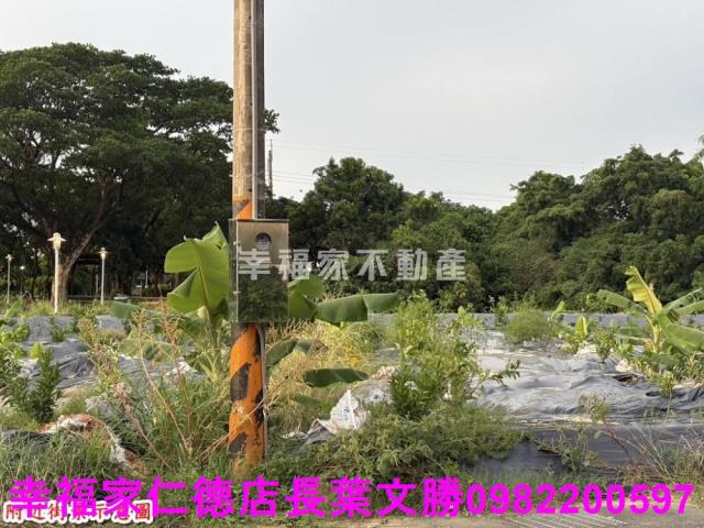台南農地-4
