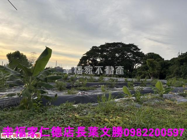 台南農地-5