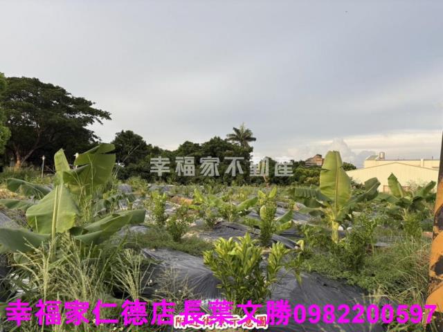 台南農地-6