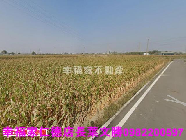 台南農地-10