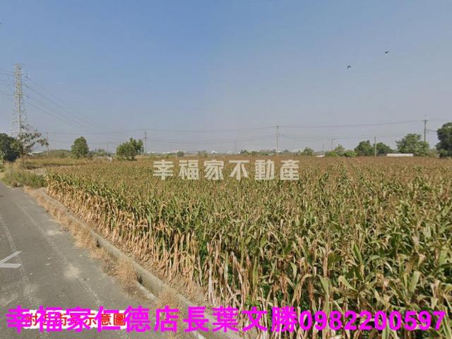 台南農地-2