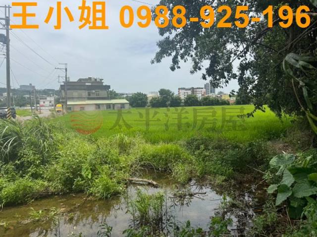 桃園楊梅農地-10