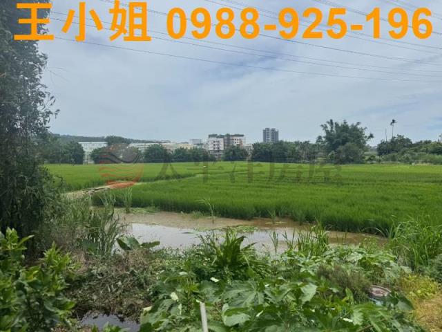桃園楊梅農地-11