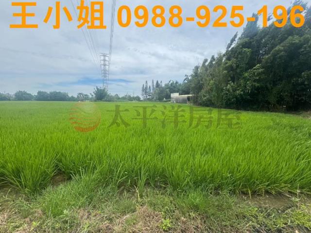 桃園楊梅農地-12