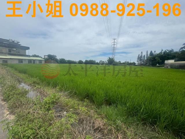 桃園楊梅農地-13