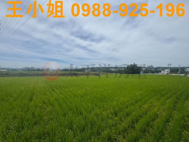 桃園楊梅農地-14