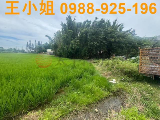 桃園楊梅農地-5