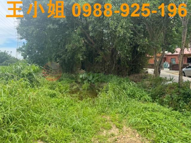 桃園楊梅農地-6