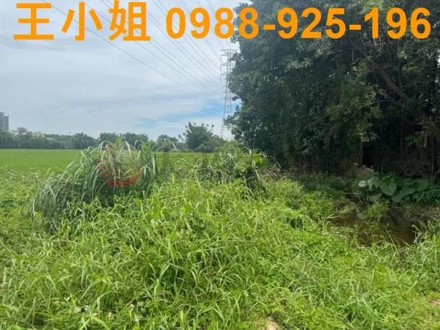 桃園楊梅農地-8