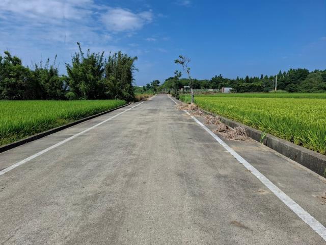桃園新屋農地-2