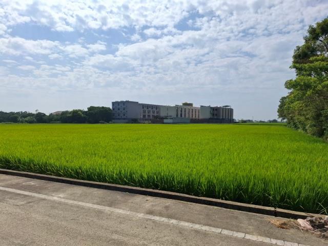 桃園新屋農地-5