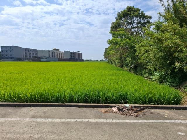桃園新屋農地-6
