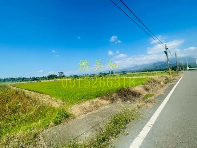 台南白河農地-3
