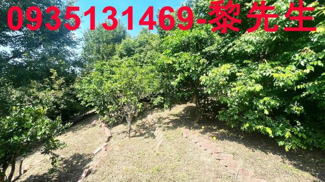 新埔農地-2