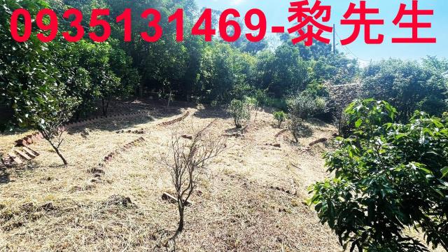 新埔農地-3
