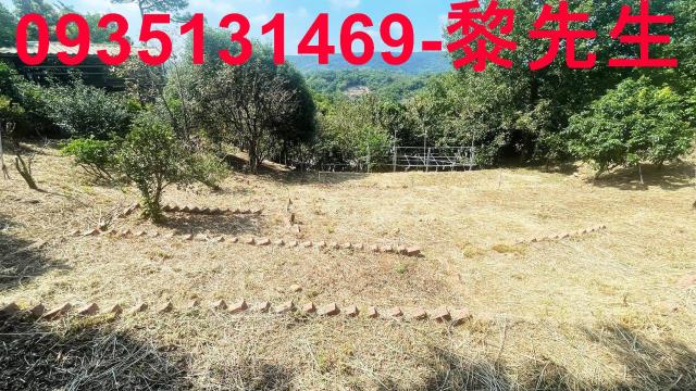 新埔農地-4