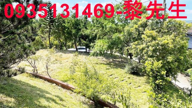 新埔農地-5