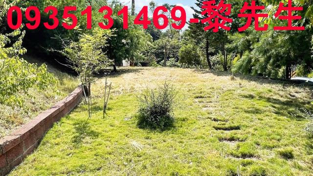 新埔農地-6