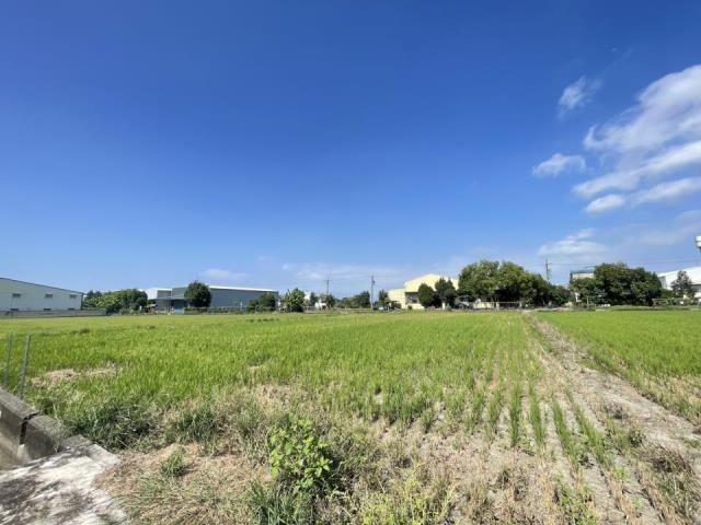 大寮農地-3