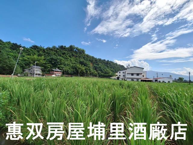 埔里農地-3