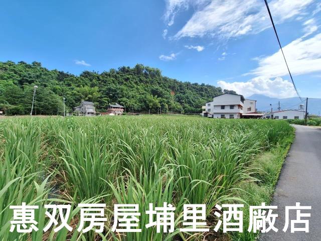 埔里農地-4