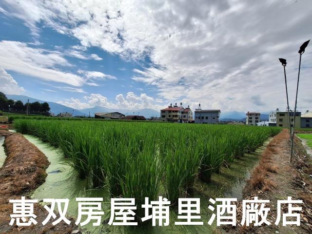 埔里農地-5