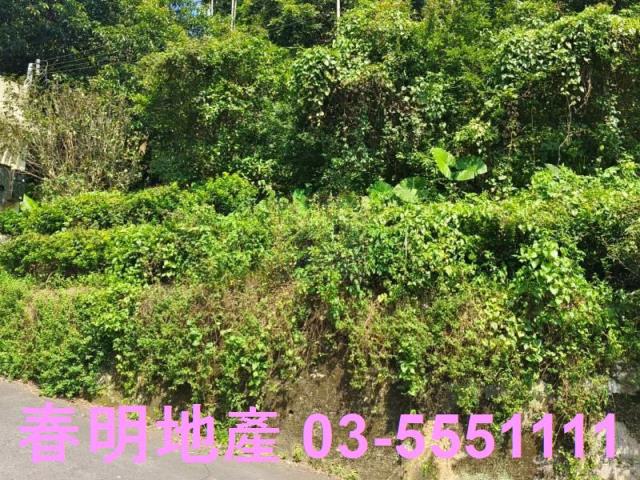 芎林農地-1